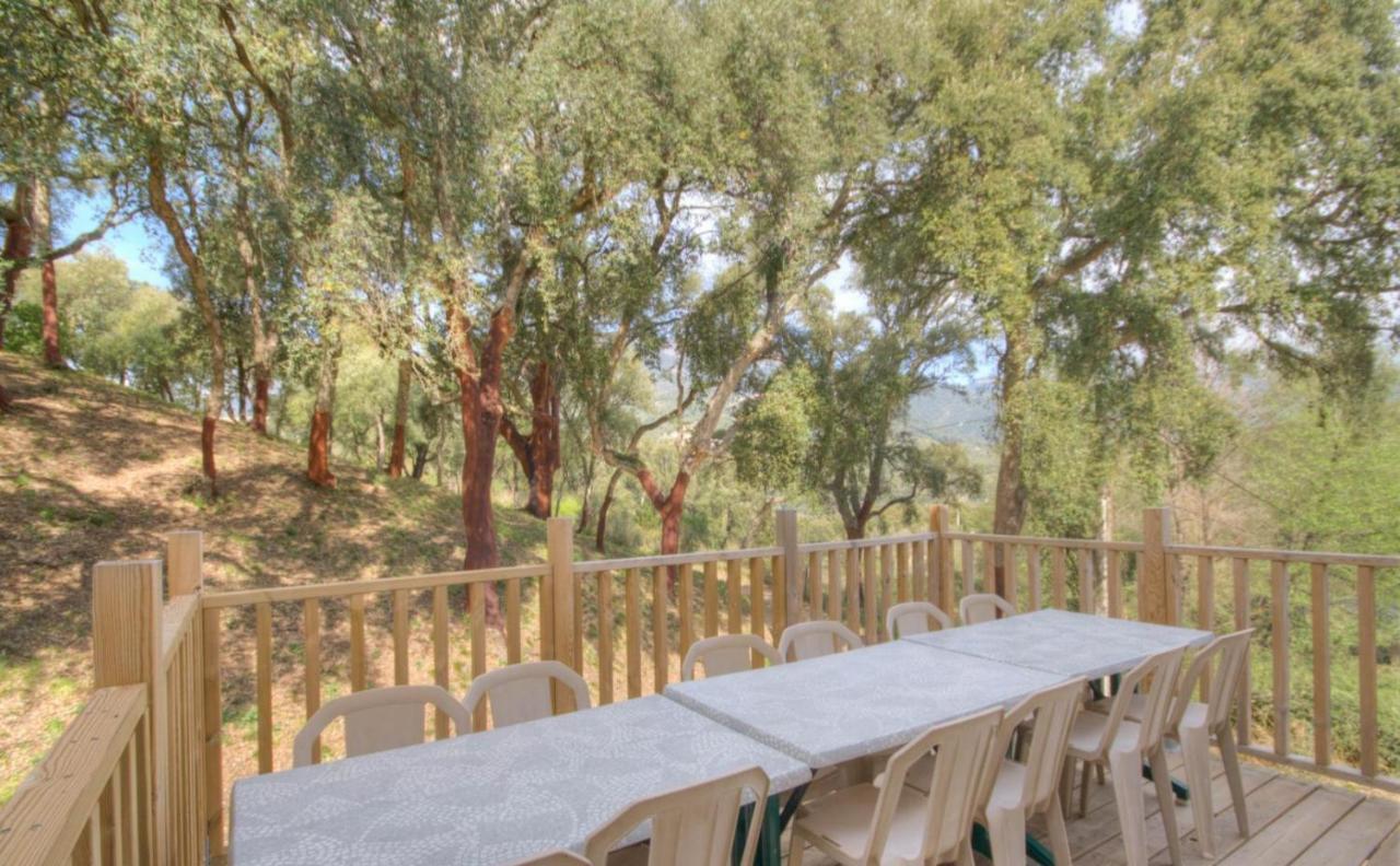 Gites Carbuccia En Corse Avec Piscine Chauffee Exterior photo