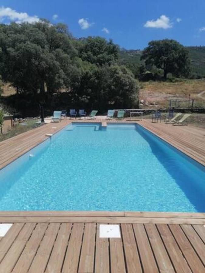 Gites Carbuccia En Corse Avec Piscine Chauffee Exterior photo