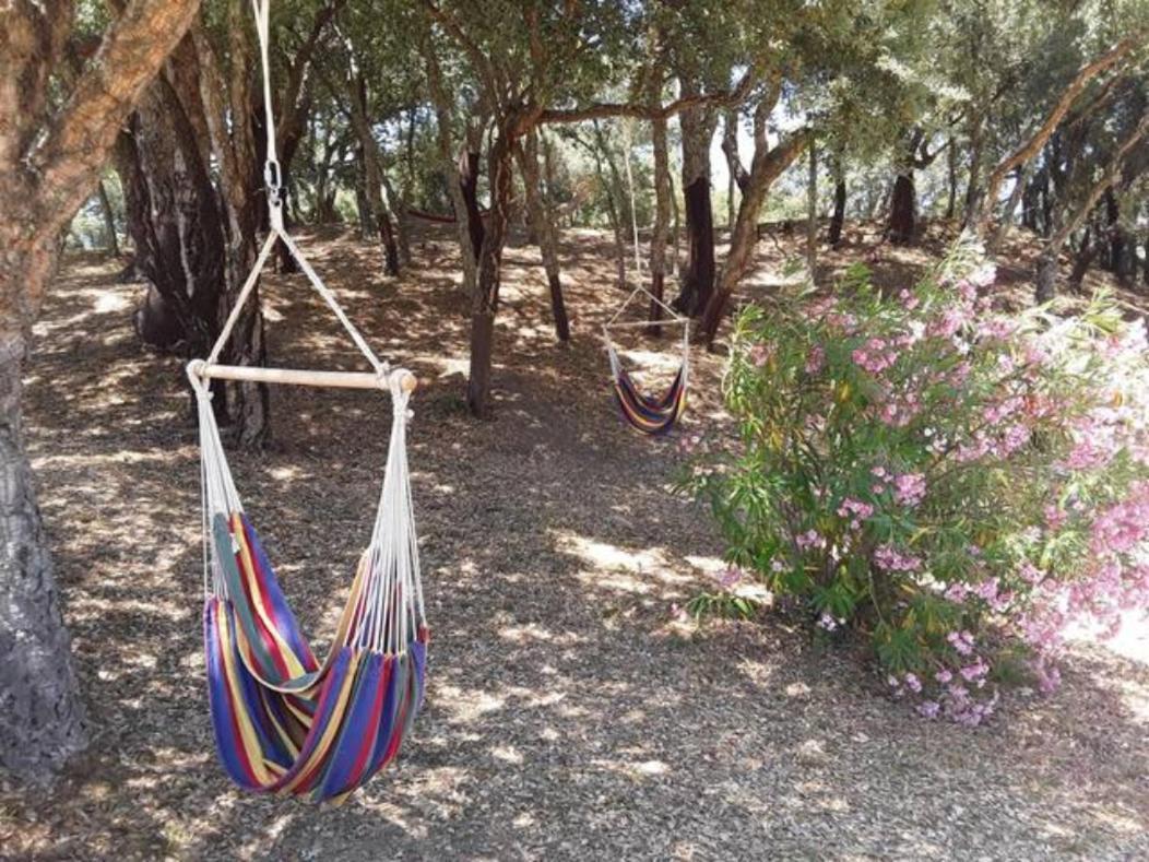 Gites Carbuccia En Corse Avec Piscine Chauffee Exterior photo